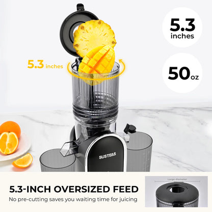 SUSTEAS Cold Press Juicer, 5.3 Inch Large Feed Opening, Slow Masticator Chute, For Whole Vegetables and Fruits, High Yield, Easy to Clean Springtok Steel,summerwins summerwins