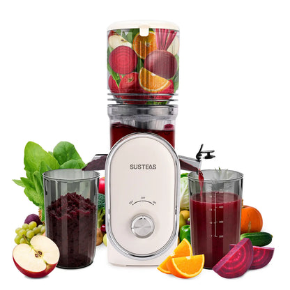 SUSTEAS Cold Press Juicer, 5.3 Inch Large Feed Opening, Slow Masticator Chute, For Whole Vegetables and Fruits, High Yield, Easy to Clean Springtok Steel,summerwins summerwins