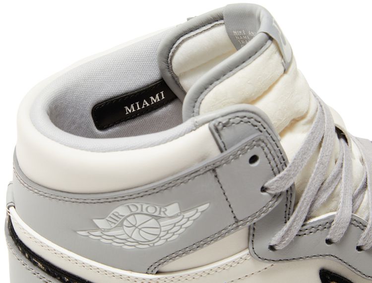 Dior x Air Jordan 1 High OG “White Wolf Grey”