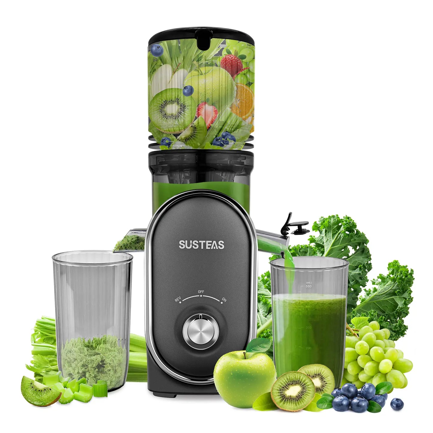 SUSTEAS Cold Press Juicer, 5.3 Inch Large Feed Opening, Slow Masticator Chute, For Whole Vegetables and Fruits, High Yield, Easy to Clean Springtok Steel,summerwins summerwins